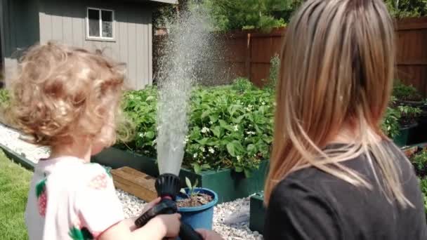 Η μαμά και η κόρη να ψεκάζουν φυτά με νερό δουλεύοντας μαζί στη γεωργία. — Αρχείο Βίντεο