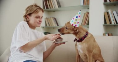 Evcil köpekli genç bir aile evde doğum günü partisini kutluyor..