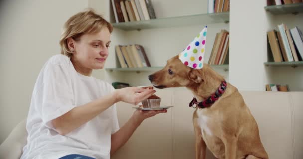 Joven familia con sus mascotas perro celebrar fiesta de cumpleaños en casa. — Vídeos de Stock
