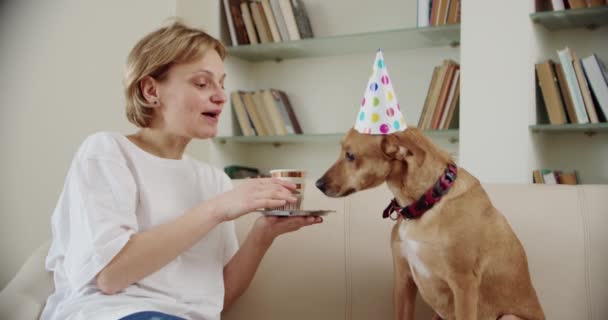 Evcil köpeğiyle birlikte genç bir aile evde doğum günü partisini kutluyor. Yavaş çekim — Stok video