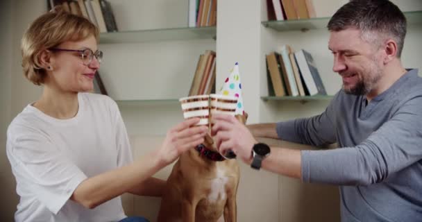 Молода сім'я зі своїм собакою святкує день народження вдома. Вболівальники . — стокове відео