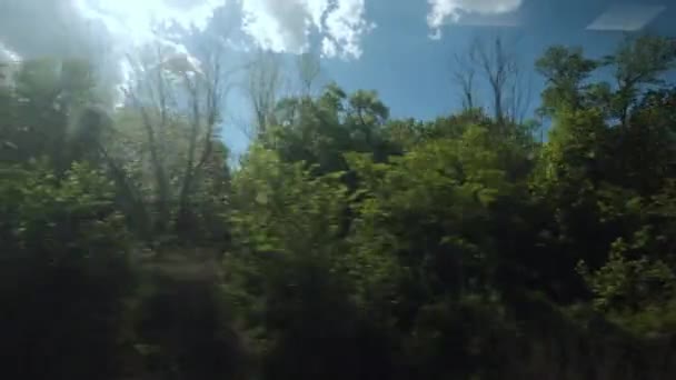 Вид из окна движущегося поезда полей и лесов в летний день — стоковое видео