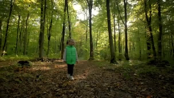 Klein meisje dat door hoge bomen loopt in het bos. Breed beeldmateriaal — Stockvideo