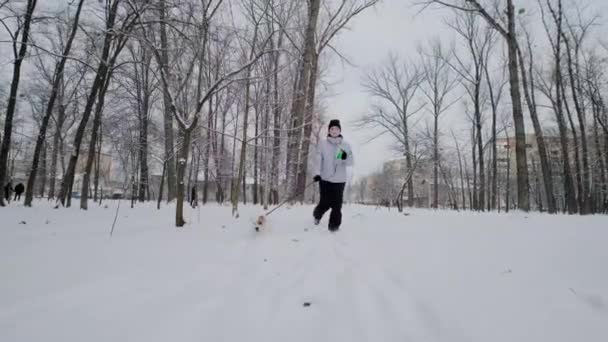 Happy girl with dog running along in park, Winter. Snowing. Slow Motion. — Stock Video