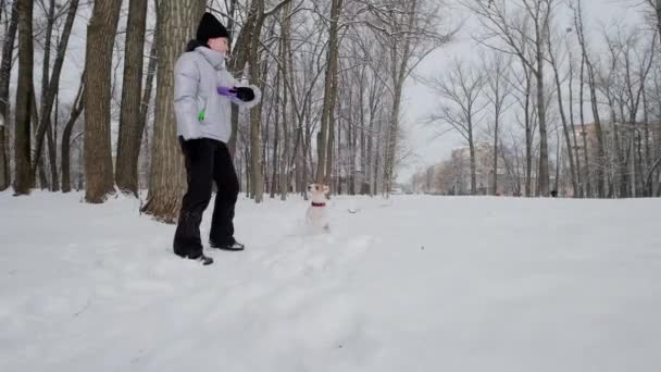 Happy girl with dog running along in park, Winter. Snowing. Slow Motion shot footage — Stockvideo