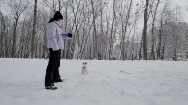 Happy girl with dog running along in park, Winter. Snowing. Slow Motion footage — Wideo stockowe