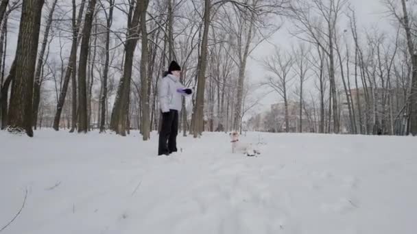 Happy girl with dog running along in park, Winter. Snowing. Move camera — Vídeo de Stock