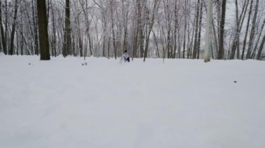 Parkta köpekli mutlu kız oyunu, Winter. Kar yağıyor. Yavaş çekim görüntüsü