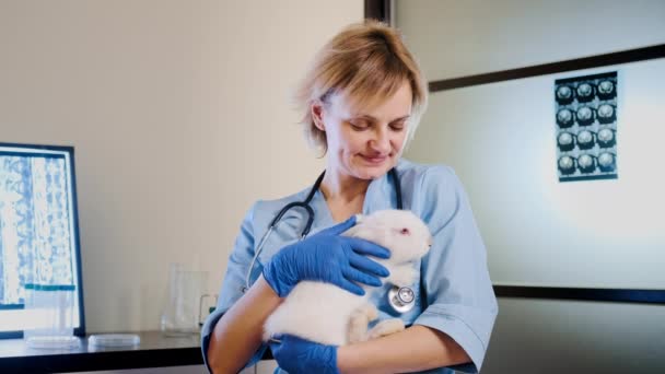 Kvinnlig läkare som håller en vit kanin i sina armar, fullföljer fysisk kontroll av sällskapsdjur. Bredbildsfilm — Stockvideo