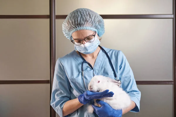 Kollarında beyaz bir tavşan tutan kadın doktor, tam bir hayvan muayenesi. Geniş
