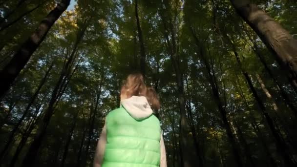 Menina caminhando através de árvores altas na floresta. Imagens amplas — Vídeo de Stock