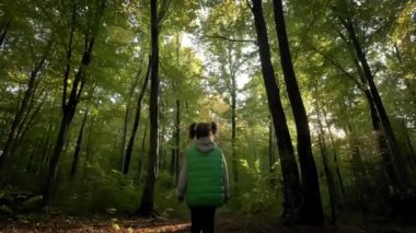 Little girl walking through tall trees in forest. Wide view footage