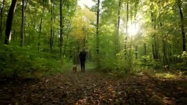 Woman feet walking the dog in the park forest. travel concept. Wide shot slow motion footage
