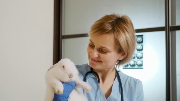 ภาพของหมอหญิงถือกระต่ายขาวในอ้อมแขนของเธอ สัตว์เลี้ยงที่สมบูรณ์ตรวจร่างกาย . — วีดีโอสต็อก