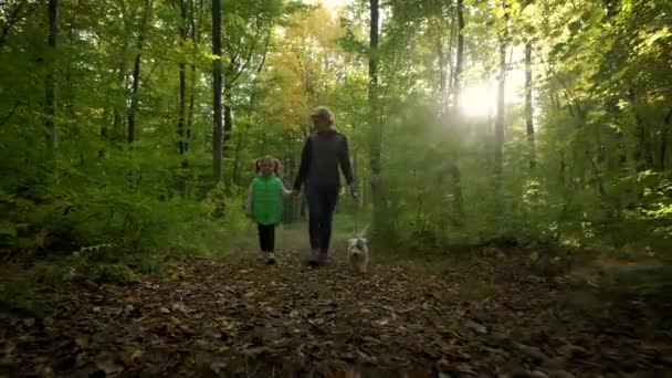 Woman with little daughter walking the dog in the forest. travel concept. Slow motion shot — Αρχείο Βίντεο