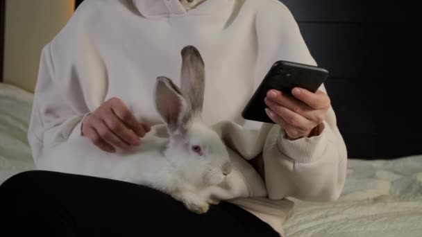 Une femme assise sur un canapé tient un lapin blanc sur ses genoux et utilise le téléphone. Gros plan — Video