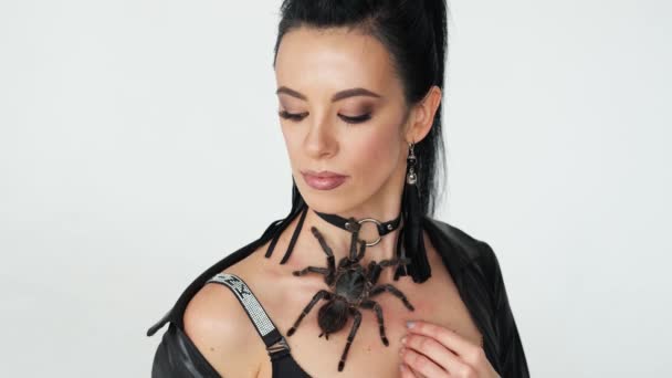 Большой чёрный паук на женской груди. Закрыть съемку — стоковое видео