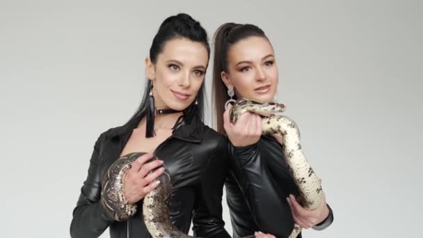 Två sexiga kvinnor i svart latex som står i en vit studio med Snake på halsen. Visa bilder — Stockvideo