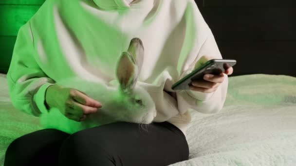 Kobieta siedząca na kanapie trzyma białego królika na kolanach i używa telefonu. Widok z bliska — Wideo stockowe