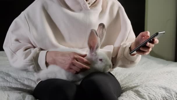 소파에 앉아 있는 한 여자가 하얀 토끼를 무릎에 앉히고 전화기를 사용 한다. 영상을 클로즈업 — 비디오