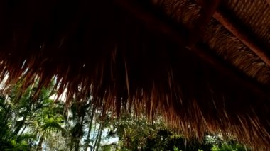 sazlı palapa çatı bungalovları ve mavi gökyüzü arka planında palmiye ağaçları