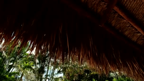 Bungalows y palmeras de techo de palapa con paja sobre fondo de cielo azul — Vídeos de Stock