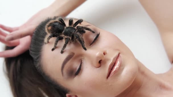 Close-up beelden van sexy meisje met een grote zwarte spin ligt op een witte achtergrond. — Stockvideo