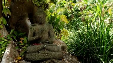 Yağmur ormanlarındaki Buda heykeli ve Buda heykeli üzerindeki semender. Görüntüleri kapat