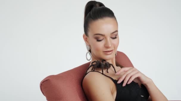 Velký černý pavouk na ženských ramenou. široké záběry — Stock video