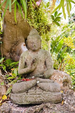 Yağmur ormanlarında Buda heykeli