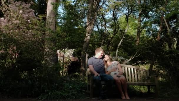 Glücklich schwangere Frau und ihr Mann im Wald. Mann streichelt Frauenbauch. Kamera verschieben — Stockvideo