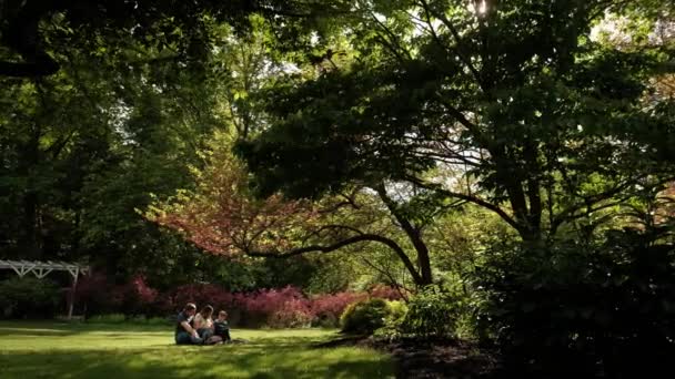 En vandrande lycklig familj. Gravid mor med far och liten pojke i parken. Bred film. flytta kameran — Stockvideo