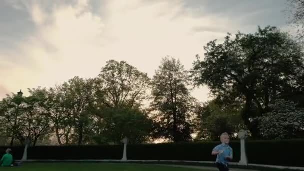 Счастливчик бегает по зеленой траве в парке, играет на поле на закате. Медленный выстрел — стоковое видео
