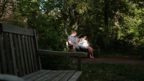 Onnellinen raskaana oleva nainen ja hänen miehensä metsässä. Mies hyväilee naiset vatsa Laaja näkymä kuvamateriaalia — kuvapankkivideo