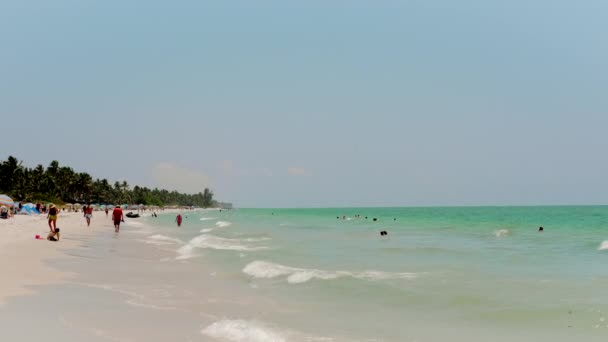 Песчаный пляж в Атлантическом океане при мягком утреннем свете. Феллес, Флорида, США — стоковое видео