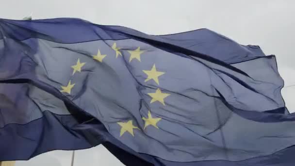 Avrupa bayrakları, Ukraynalılar Münih sokaklarında savaşı protesto ediyorlar. Almanya Münih, Mayıs 2022 — Stok video