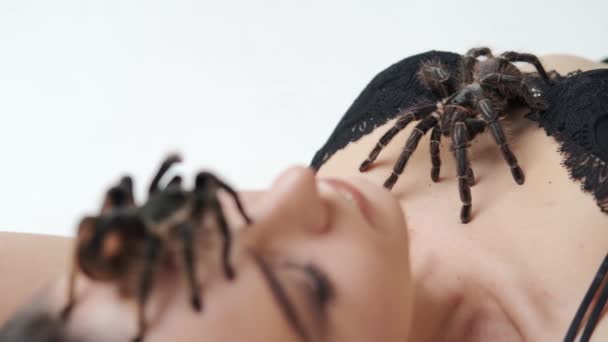 Close-up beelden van sexy meisje met een grote twee zwarte spin ligt op een witte achtergrond. — Stockvideo