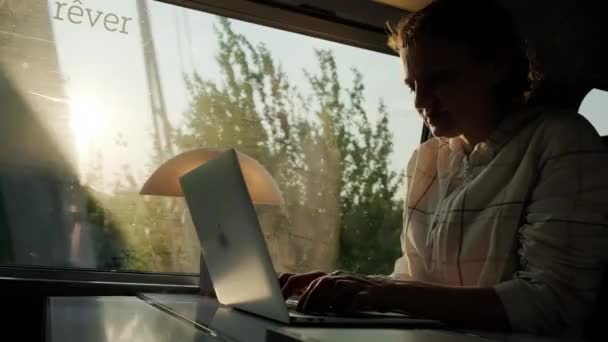 Kadın Güneşli Bir Günde Trende Pencerenin Yanında Otururken Dizüstü Bilgisayarla — Stok video
