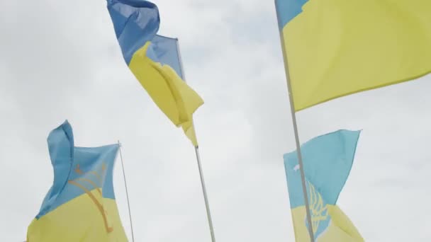 Bandeiras Ucrânia Ucranianos Protestam Nas Ruas Imagens Alta Qualidade — Vídeo de Stock