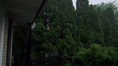 Şiddetli Sağanak Yağmurlu Gök Gürültüsü Altında Çatı ve Yağmur Çukuru 'nu vurdu. Yüksek kalite 4k görüntü