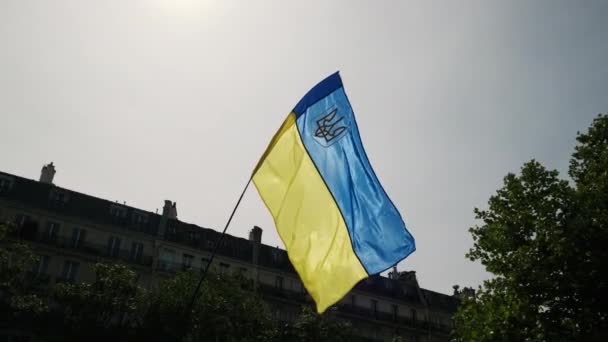 Les Ukrainiens Protestent Dans Rue Drapeau Ukraine Séquences Ralenti Images — Video