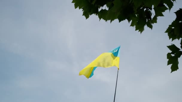 ウクライナ人は路上で抗議する ウクライナの国旗 スローモーション映像 高品質4K映像 — ストック動画