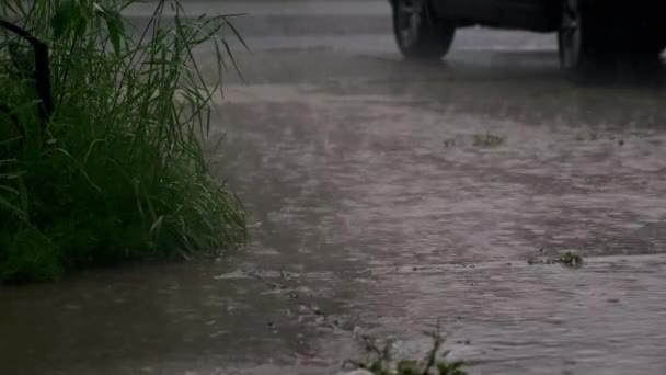 大雨中 雷电交加 郊区住宅区街道一片 高质量的4K镜头 — 图库视频影像