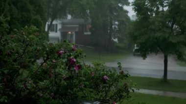 Şiddetli yağmur, gök gürültülü ve şimşekli, banliyö yerleşim yeri caddesi. Yüksek kalite 4k görüntü