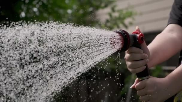 Garden Sprayer Woman Hand Watering Garden Bed Slow Motion High — Stock Video