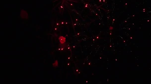 Ночь Фейерверков Отпуске Июля Высококачественные Кадры — стоковое видео