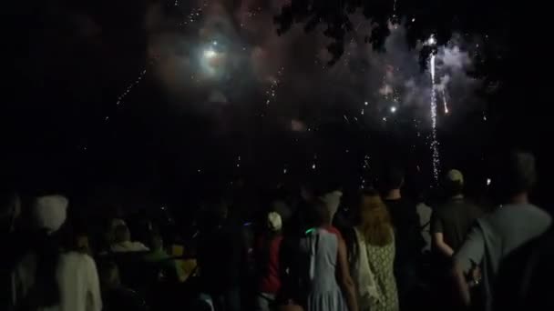 Pessoas Assistindo Fogos Artifício Noite Férias Julho Imagens Alta Qualidade — Vídeo de Stock