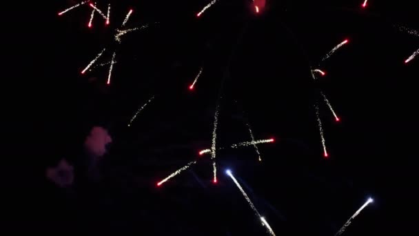 Noche Fuegos Artificiales Vacaciones Julio Imágenes Alta Calidad — Vídeo de stock
