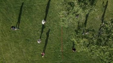 Aerial view of drone shot of people playing volleyball in park . High quality 4k footage