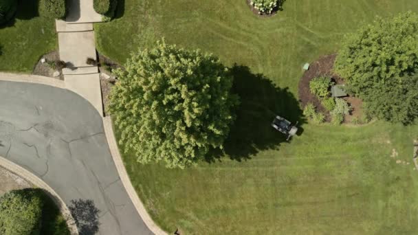 Gardener Mows Green Grass Grass Mower Equipment Works Summer Day — Video Stock